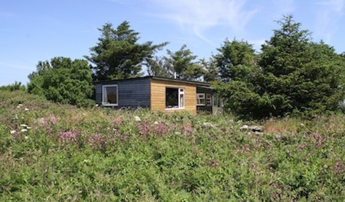 The Cabin amongst the trees