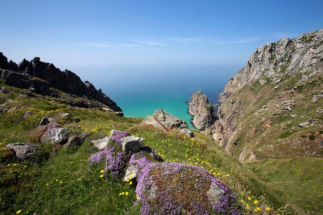 Stacks Image 631