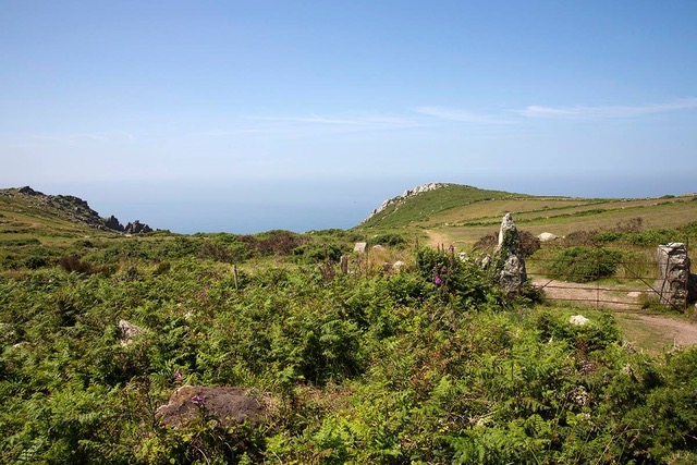 Stacks Image 626