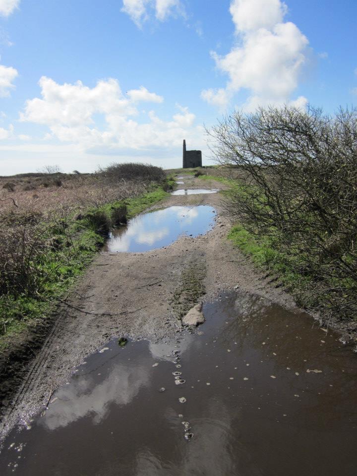 Greenburrow through puddles
