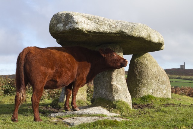 Lanyon Quoit and Cow