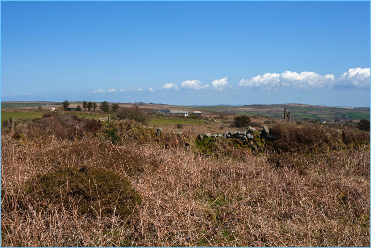 Stacks Image 671