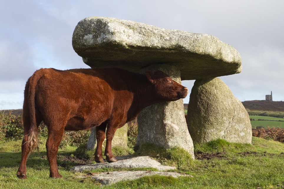 Lanyon Quoit and Cow