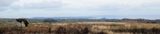 Mulfra Quoit towards Lizard.jpg