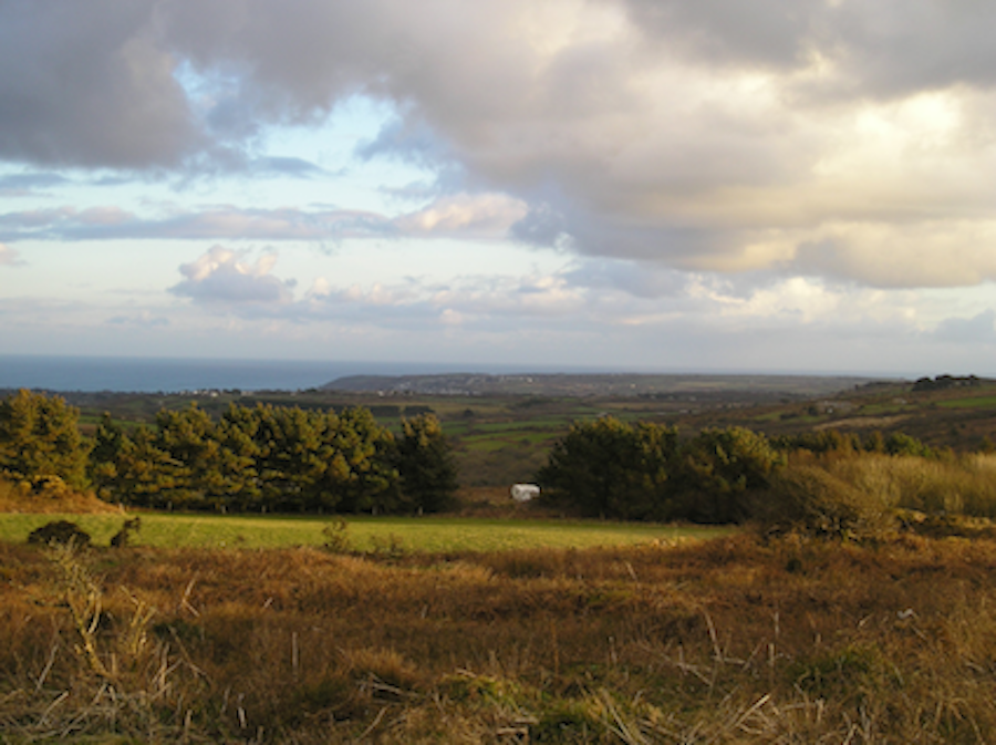 Stacks Image 9347