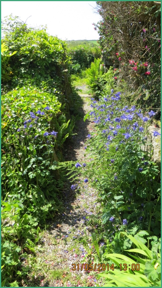 Bal Cottage path with flowers