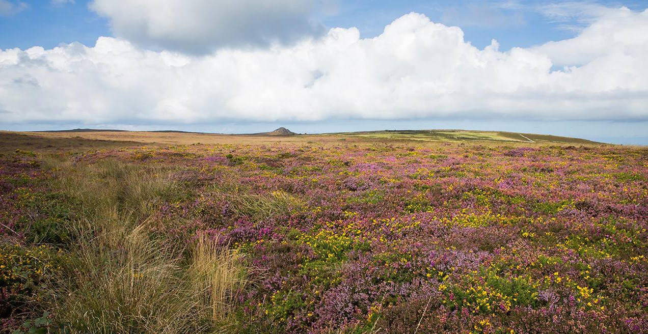 Find Self Catering Cottages In West Cornwall Or Lands End